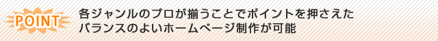 各ジャンルのプロが揃うことでポイントを押さえたバランスのよいホームぺージ制作が可能