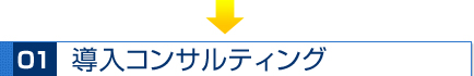 導入コンサルティング